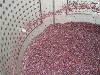 Pinot must before pressing