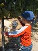 Kalen with Luke (the Stiling Vineyard watchdog)
