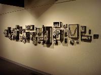 Anguin Installation