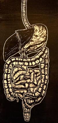 Digestion